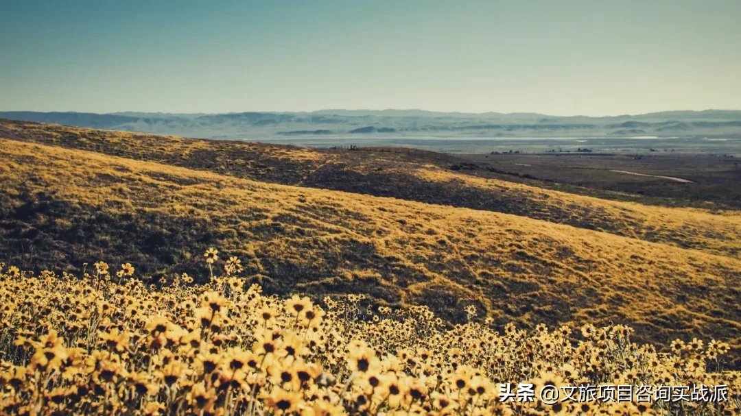 9d8e3b308aed45f9bd8e6c79f57adf32.webp.jpg 9d8e3b308aed45f9bd8e6c79f57adf32.webp.jpg